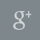 icon_g+
