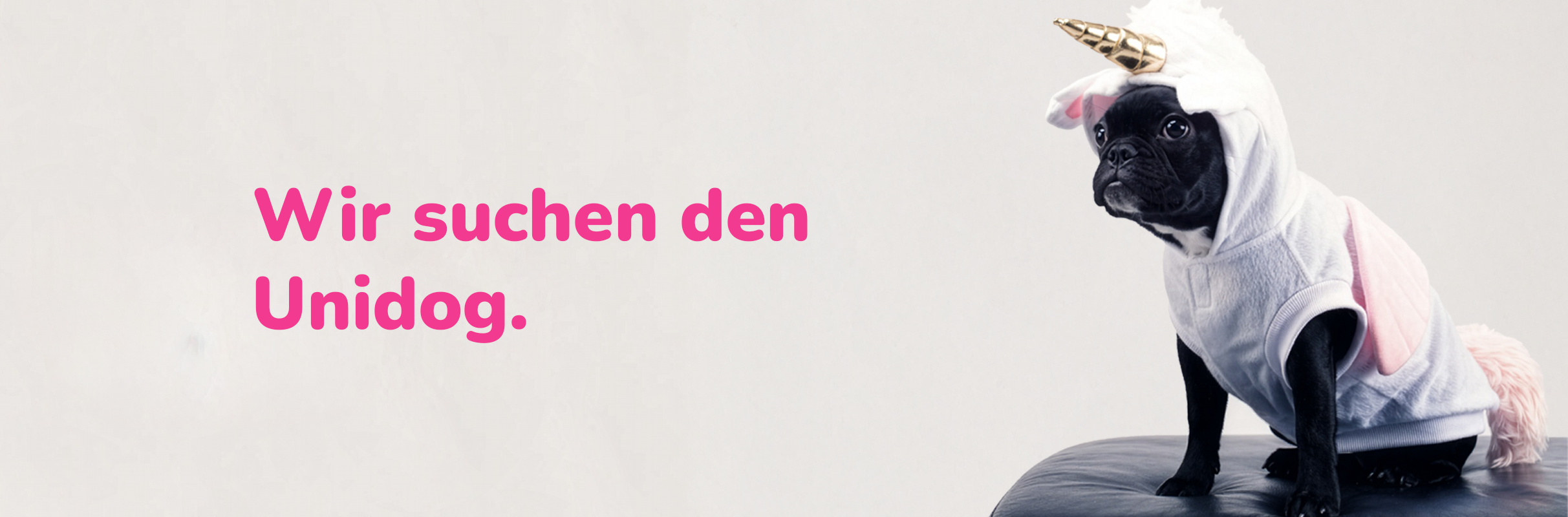 IT-Consultant PreSales Infrastruktur & Datacenter (gn)