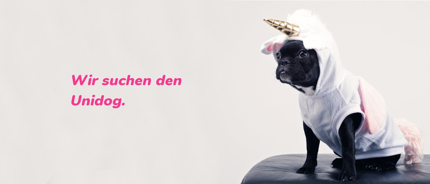 SAP Fullstack Developer (gn)